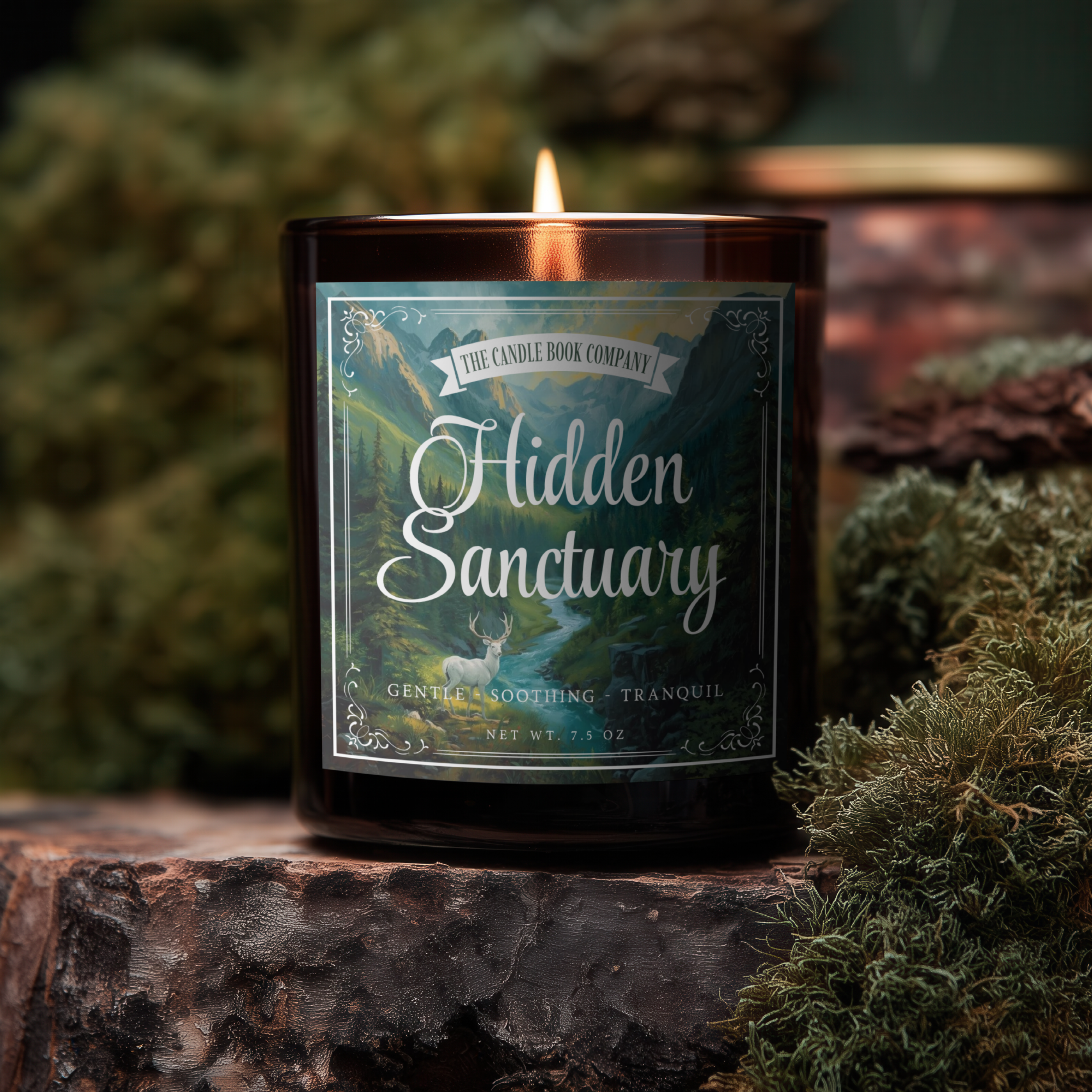 Hidden Sanctuary